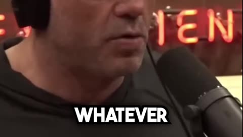 Joe Rogan On Afterlife Theory