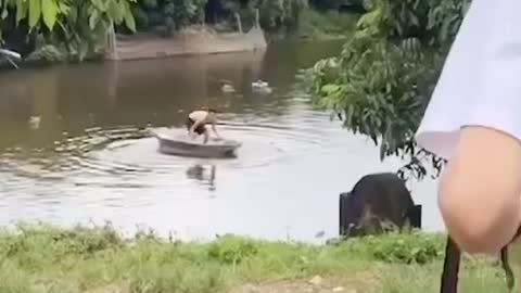 Viral Dog is saving a man from drowning in the river