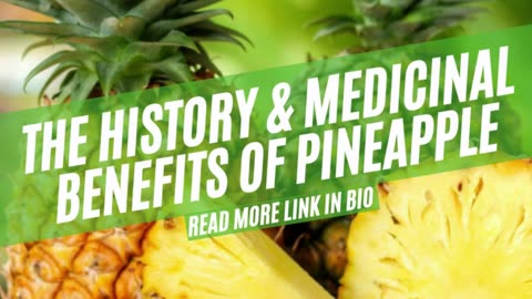 Uncovering the Surprising Truth Behind Pineapples!