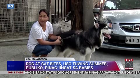 Dog at Cat bites, uso tuwing summer; publiko, pinag-iingat sa rabies