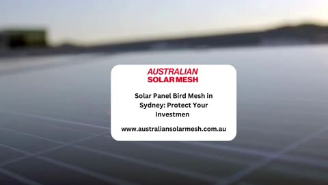 Flyaway Solutions - Solar Bird Proofing in Sydney