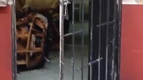 Video ataque a vivienda en Girón
