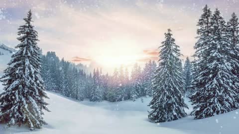 Christmas Trees Landscape - Snowfall | Watch & Relax