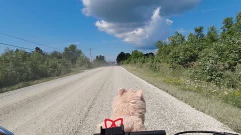 Franny & Me - Two-up on the Honda Trail CT125 - Manitoulin South Shore to Misery Bay.