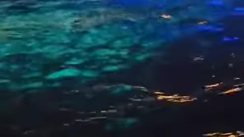 caso de avistamiento de luces bajo el mar en Aguadilla, Video 2 de 2