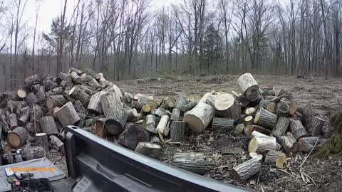 Time to split some wood! This is one of 3 huge piles!