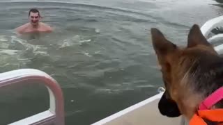 Dog Falls off Boat