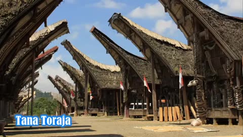 Explore the Wonders of Indonesia: Top Tourist Destinations to Visit