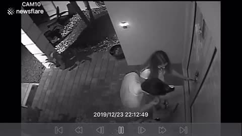 Dog escapes house and chases guy on home security camera