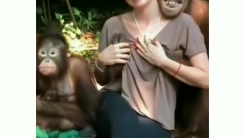 ##CUTE FUNNY CHIMPANZEE PRANKS WITH GIRL##SPECIAL VIDEO ##