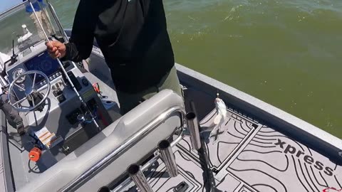 Secret Weapon | Inshore Fishing Galveston Texas