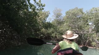 KAYAKING THROUGH THE MANGROVES AT ROBBIE'S, FLORIDA KEYS