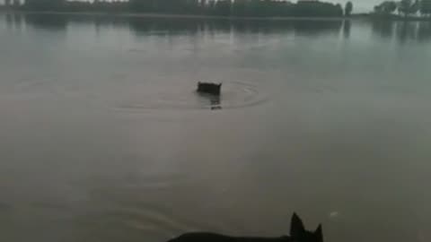 Fiona at the river with her rock