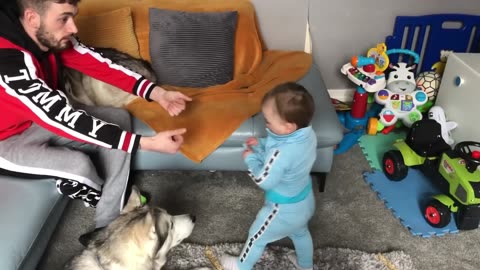 Husky Accidentally Hurts My Baby But Says Sorry And Makes Everything Okay!!... [READ DESCRIPTION]