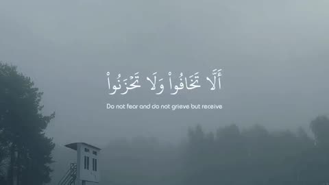 Quran Karim | Amazing Recitation