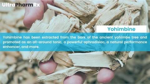 Everything You Wanted to Know About Yohimbine (But Were Afraid To Ask)