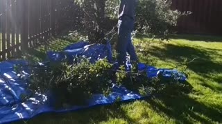 Tree cutting fail