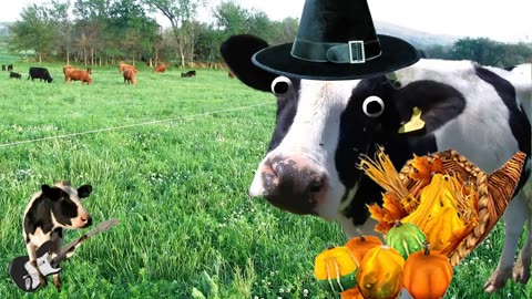 I'm a Cow Song