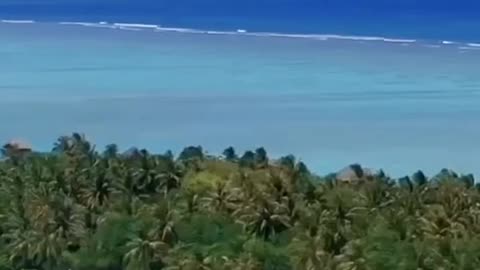 Paradise Found: Maldives Beach