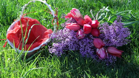 Lilacs And Tulips Basket - A gift for everyone on this site