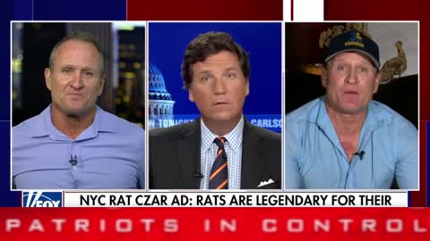 Tucker - Talking about Rats