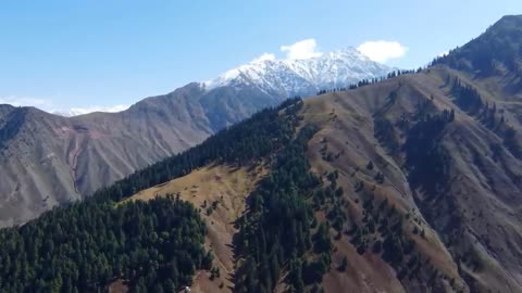 "Journey to Naltar: Exploring the Jewel of Gilgit-Baltistan"