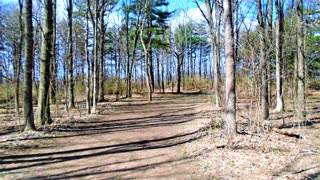 Photo Tour : Blendon Woods Disc Golf Course