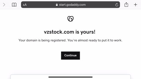 VZ Stock VZStock.com Public Domain Name Availability, Invention, Type In, and Purchase April 5, 2023