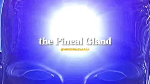 Pinnochio and the Pineal Gland