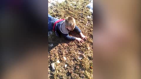 The Ultimate Sledding Wipe Out