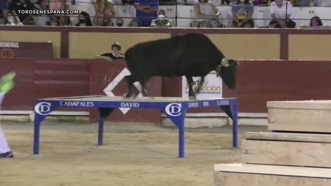😢 EL ÚLTIMO DÍA DE LA FAMOSA VACA NIEBLA __ VINARÒS ▶ 4K - Especial ganadería Benavent -