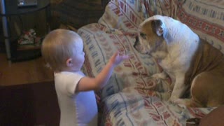 Baby Has Engrossing Conversation With Her Patient Bulldog