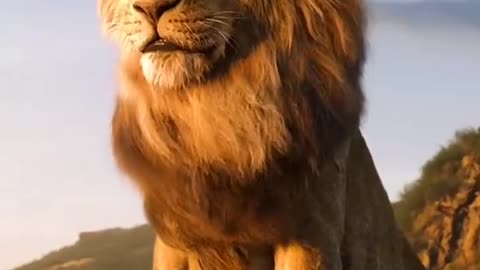 Amazing Lion King Video