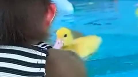 Monkey and duck latest funny 😀🤣 video
