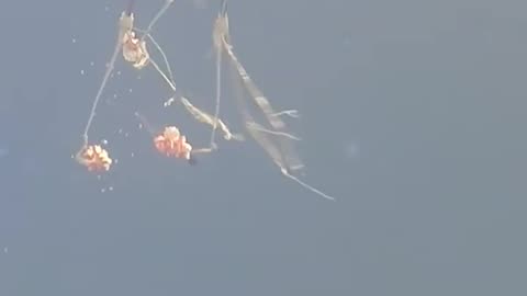 POV: Orion Spacecraft Reentry After Artemis I Mission to the Moon