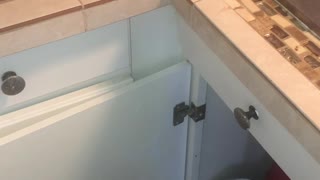 Rescuing a Cat Stuck Behind Kitchen Cabinets