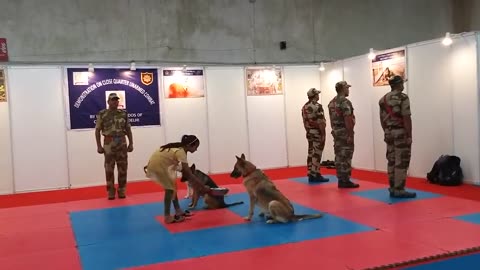 CISF demonstration of Dog Squad .