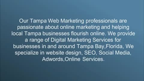 Tampa Website Designer