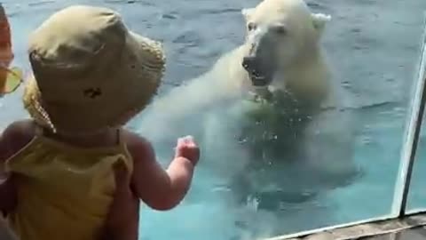 Mom and baby get an unexpected surprise from a Polar Bear at the zoo!