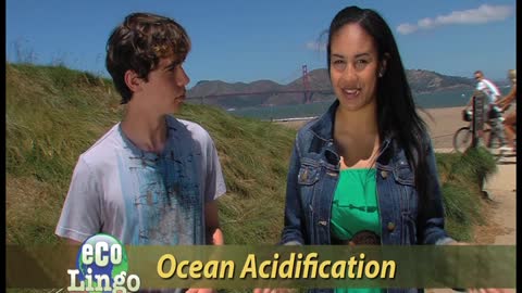 Eco-Lingo: Ocean Acidification