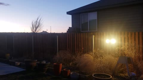 Tumbleweed Flies Directly into Man's Face