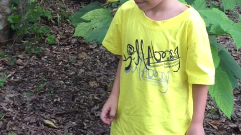 Naughty little boy tries to start trouble with a chicken and instantly regrets it