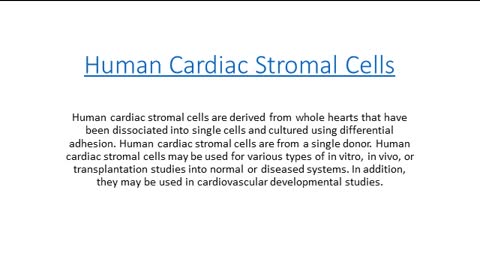 Human Cardiac Stromal Cells