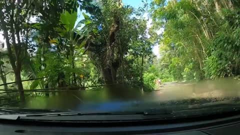 Epic drive through the Big Island Hawaii!