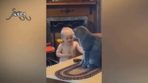 funny cat plays with a child