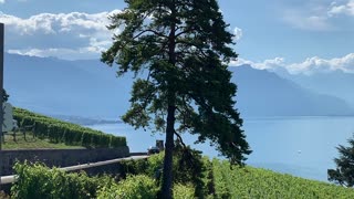 Lac Léman vue de de Chexbres