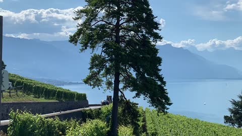 Lac Léman vue de de Chexbres