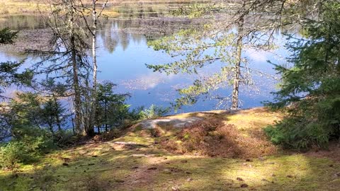 Walking around Mew Lake Algonquin Park in the Fall Sept 24 2020