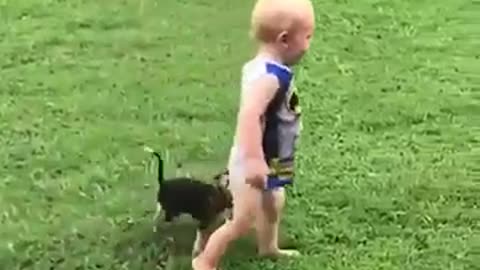 Babies and Dogs playing