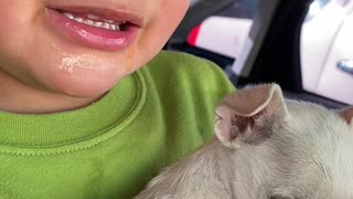 Boy Cries over Puppy's Vaccination